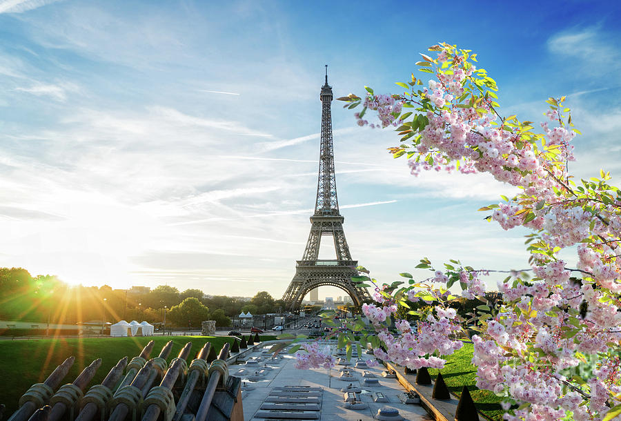 Spring Sunrise in Paris Photograph by Anastasy Yarmolovich