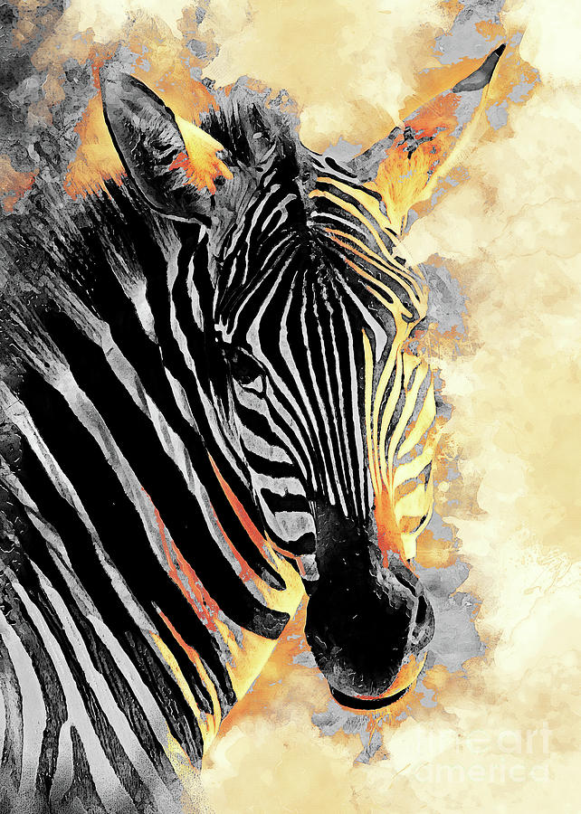 Zebra Art Digital Art