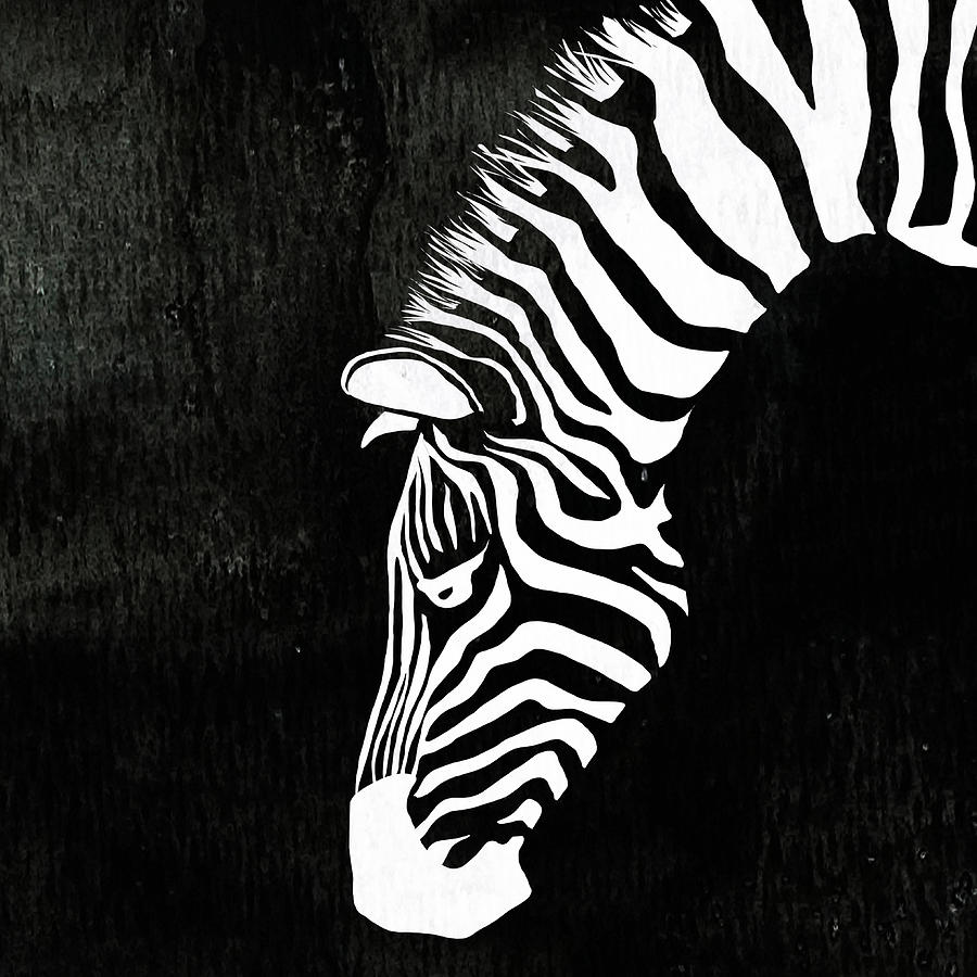 Zebra Animal Black and White Decorative Poster 6 - by Diana Van ...