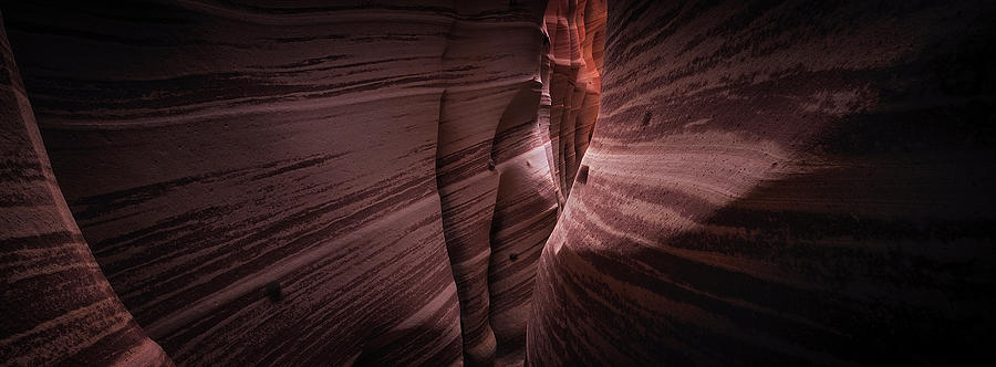 Zebra Canyon Photograph by Edgars Erglis
