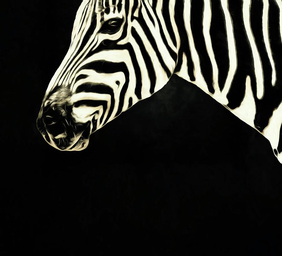 Zebra Lines #1 Photograph by Alice Gipson