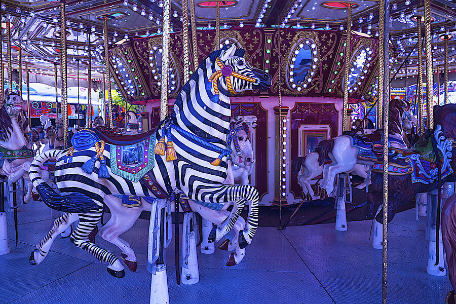 Zebra Ride #2 Photograph by Garry Gay