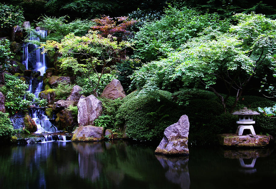 Zen Pond Photograph by Anthony Jones