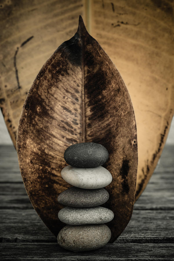 Zen Stones II #1 Photograph by Marco Oliveira