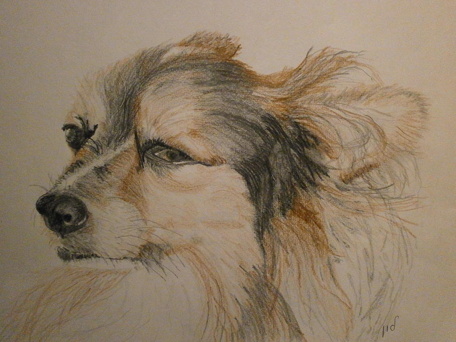 Zeus Drawing by Maria Woithofer