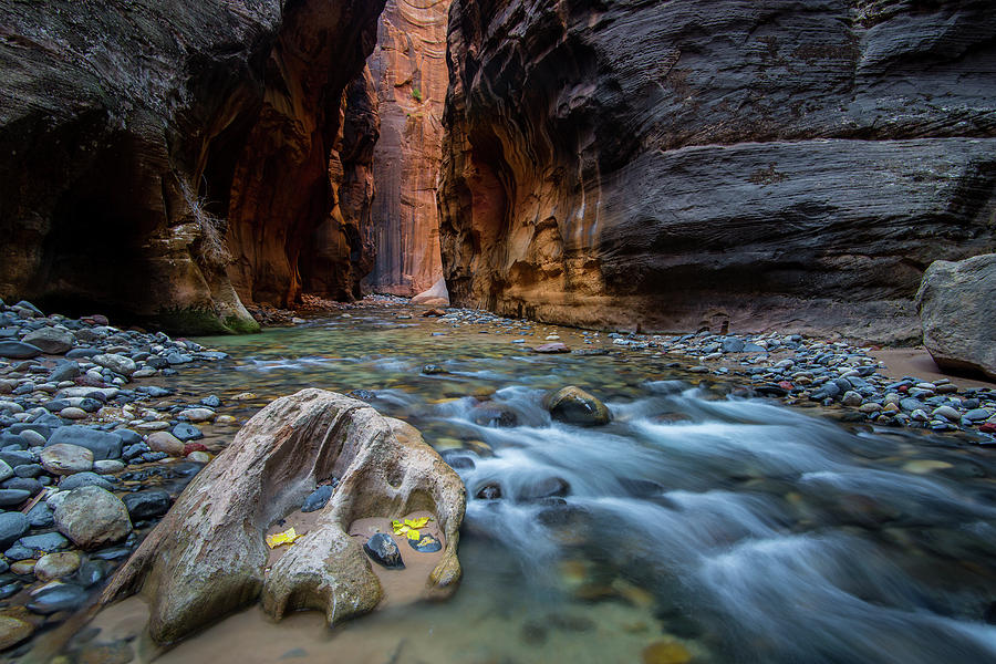 Zion Narrows Photograph by Wesley Aston