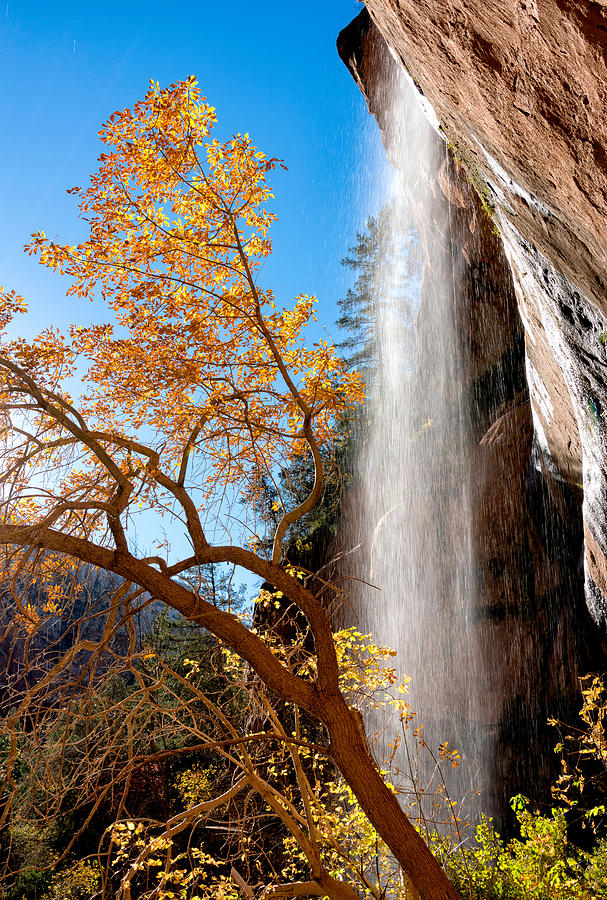 Zion National Park Waterfall At Emerald Pools Trail