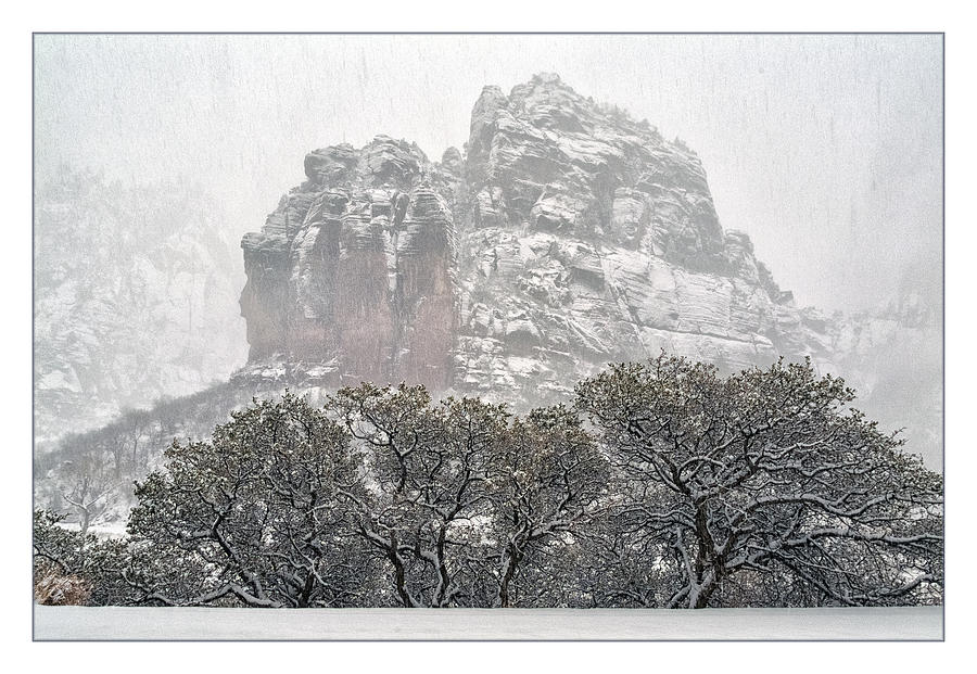 Zion Snowstorm #1 Photograph by Robert Fawcett