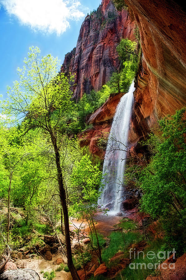 Zion Waterfalls #1 Photograph by David Arment