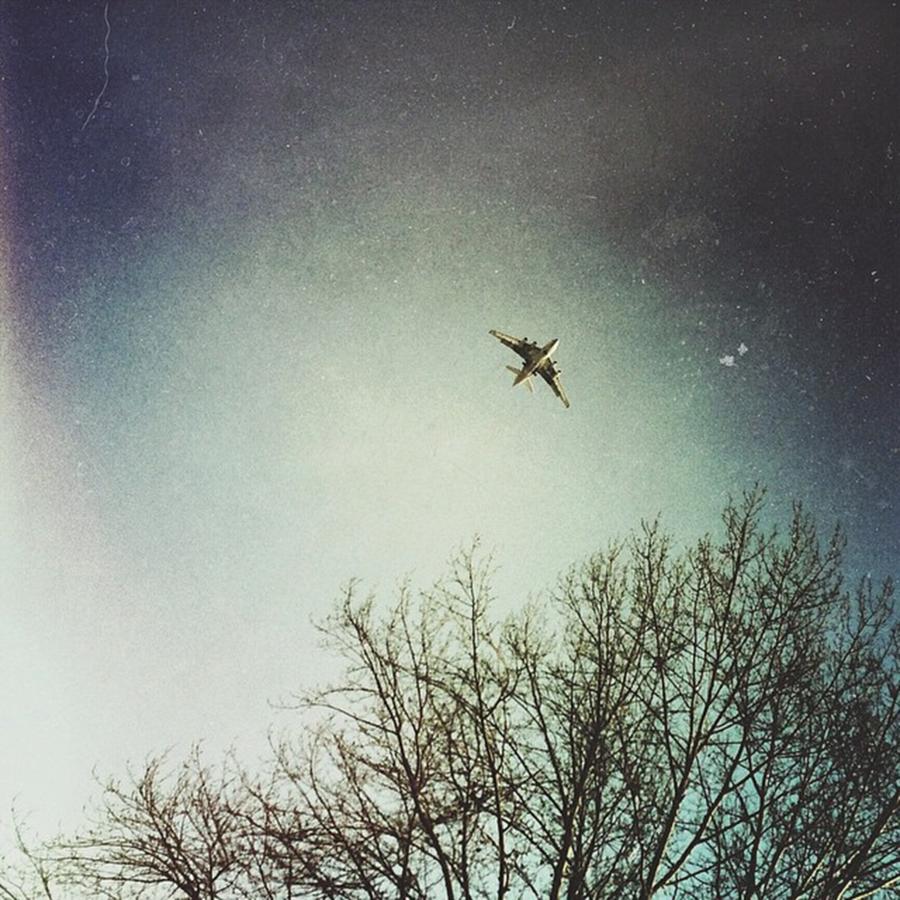 Winter Photograph - Самолеты и деревья #10 by Vitaly Kushnir