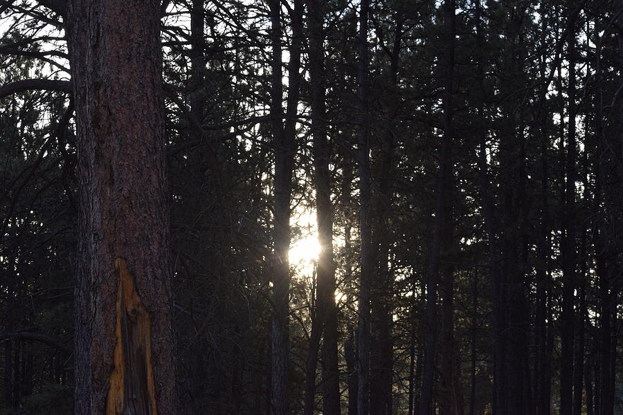 Sunrise Back Country CO #2 Photograph by Margarethe Binkley