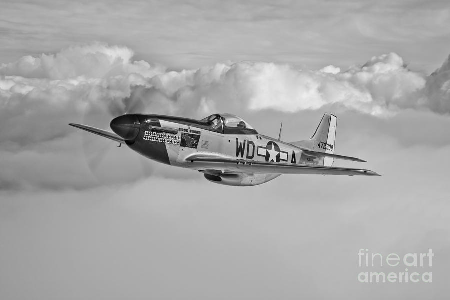 Black And White Photograph - A P-51d Mustang In Flight #10 by Scott Germain
