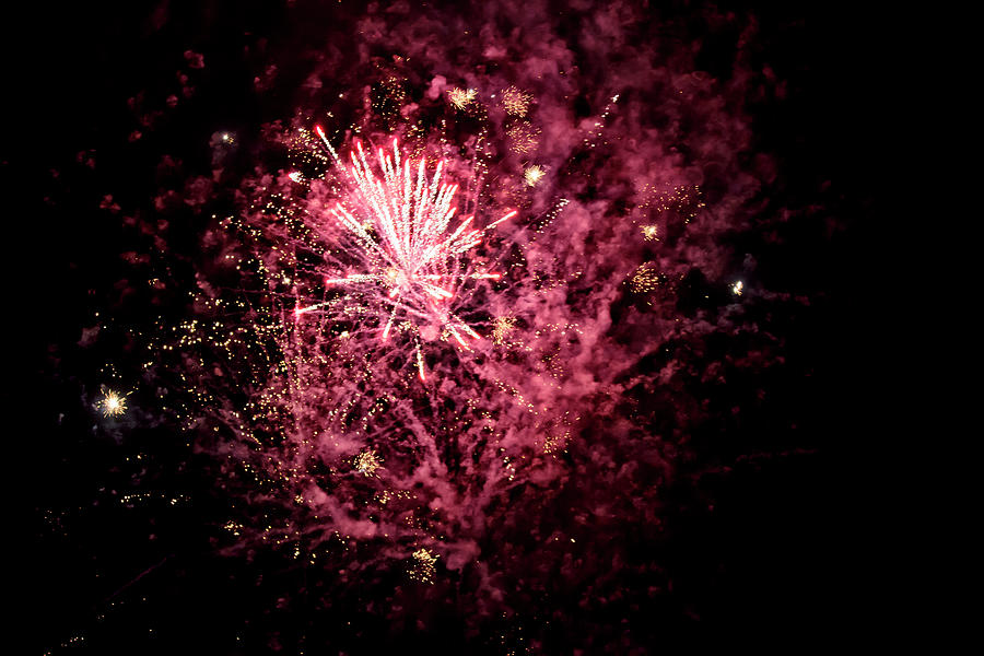 A shining colorful firework #10 Photograph by Gina Koch