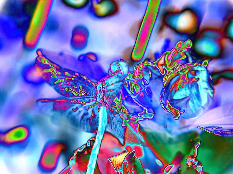 Abstract Dragonfly #10 Digital Art by Belinda Cox