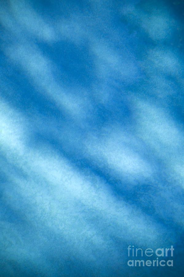 Abstract Photograph - Abstract by Tony Cordoza Abstract Photograph - Abstract by Tony Cordoza