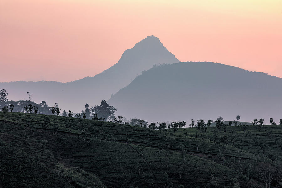 Adams Peak - Sri Lanka #10 Photograph by Joana Kruse