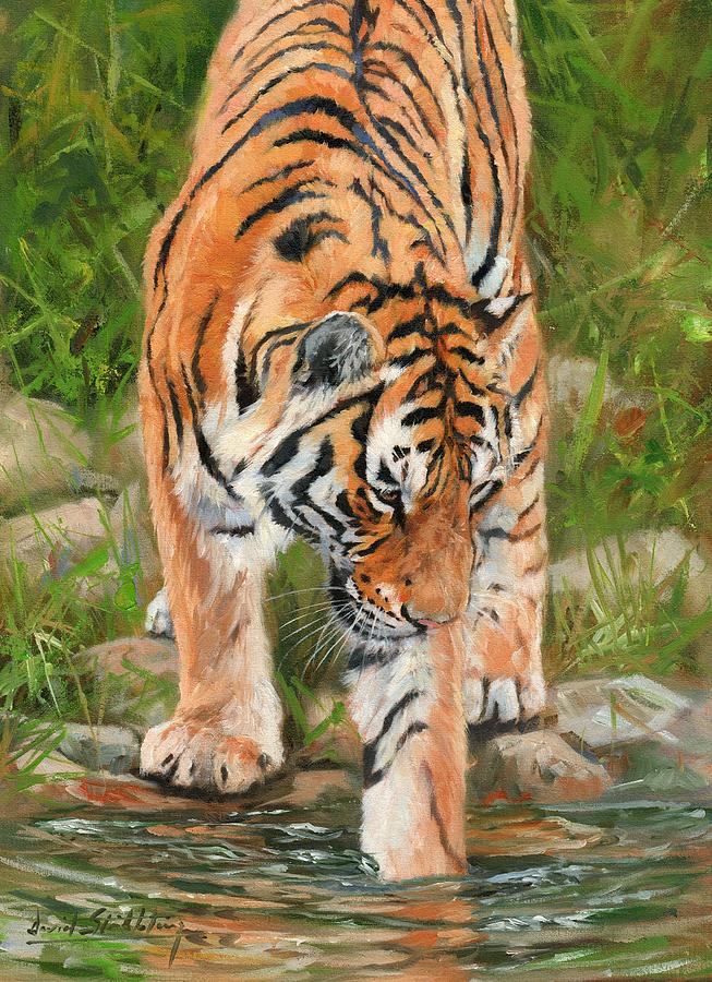 Amur Tiger Painting by David Stribbling