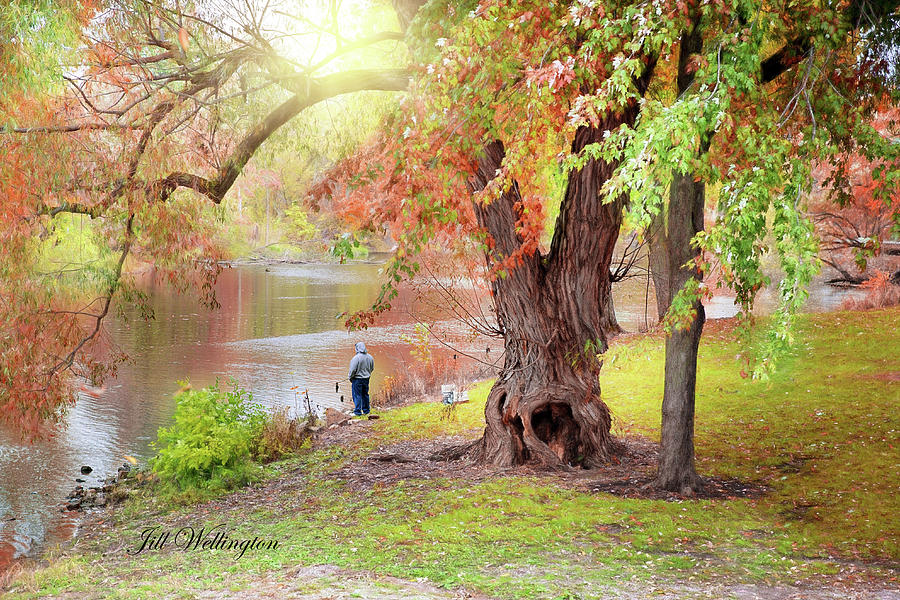 Autumn by Jill Wellington Autumn by Jill Wellington