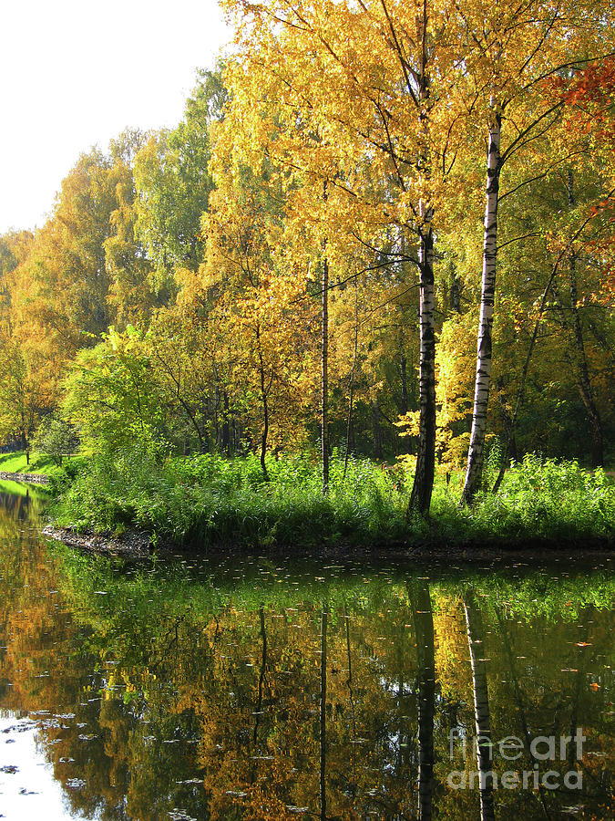 Autumn landscape #10 Photograph by Irina Afonskaya