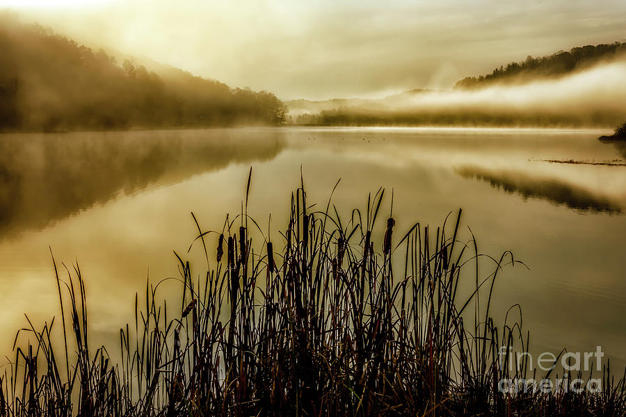 Autumn Mist on Lake #10 Photograph by Thomas R Fletcher