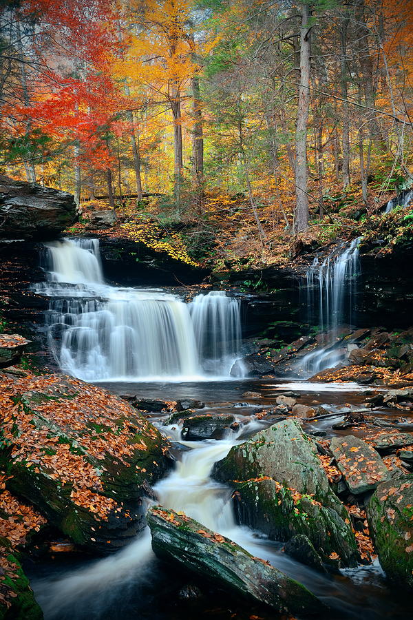 Autumn waterfalls #10 Photograph by Songquan Deng