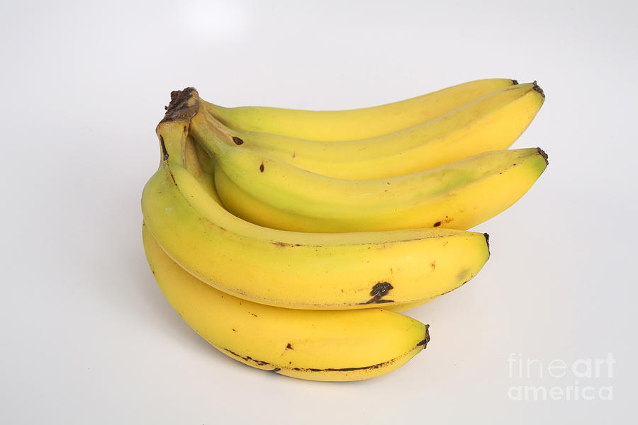 Fruit Photograph - Banana Ripening Sequence #10 by Ted Kinsman