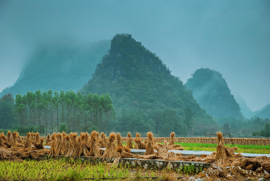 Beautiful countryside scenery in autumn #10 Photograph by Carl Ning
