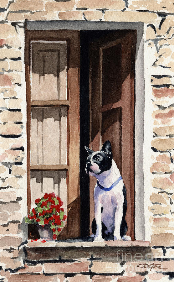 Boston Painting - Boston Terrier #10 by David Rogers