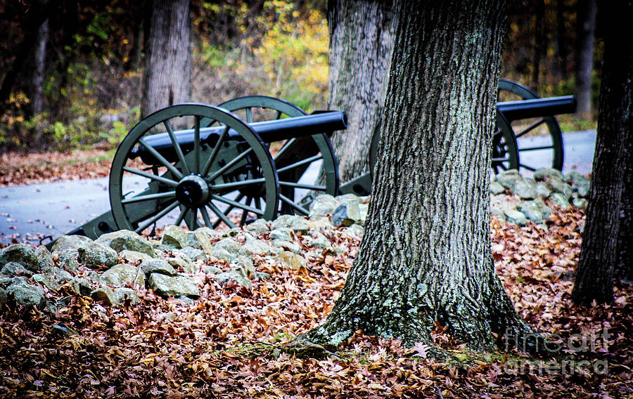 Cannons at Gettysburg Battlefield Photograph by William E Rogers