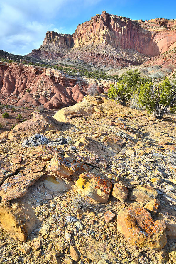 Capitol Reef Scenic Drive #2 Photograph by Ray Mathis