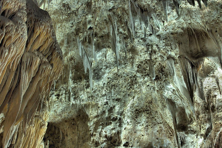 Carlsbad Caverns National Park Photograph - Carlsbad Caverns Detail #10 by Stephen Vecchiotti