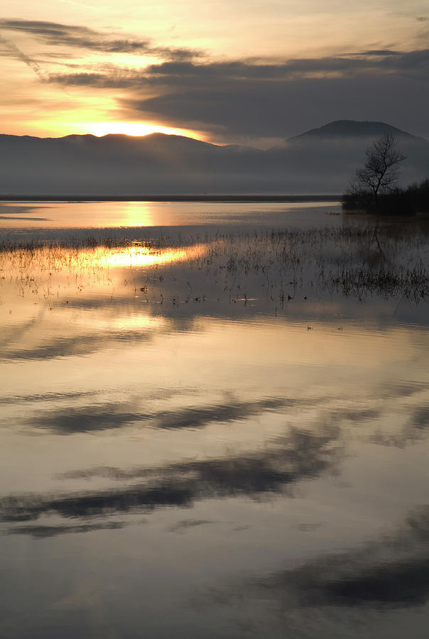 Cerknica lake at dawn #10 Photograph by Ian Middleton