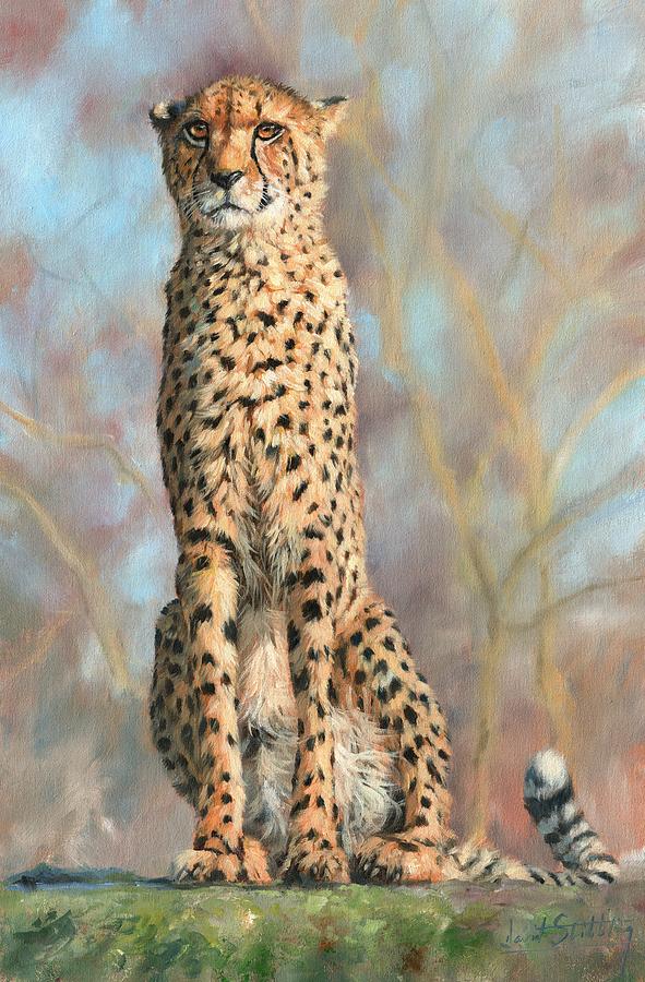 Cheetah Painting - Cheetah #10 by David Stribbling