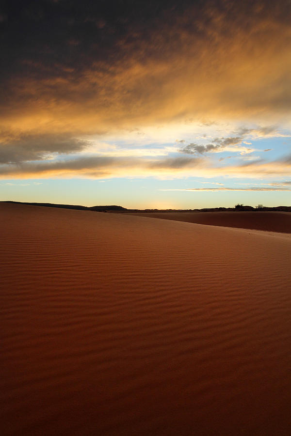 Coral Pink Sand dunes at sunset #10 Photograph by Pierre Leclerc Photography