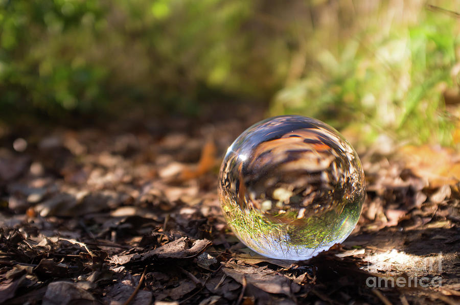 snack akse Anzai Crystal Ball Nature Photograph by Ezume Images