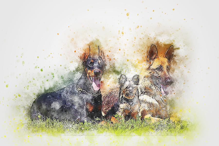 Dog Digital Art - Dog Art #10 by Dog Art