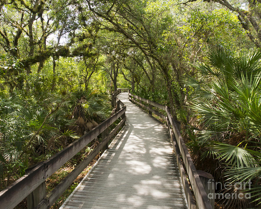 Erna Nixon Park Melbourne Florida Photograph by Allan Hughes - Pixels