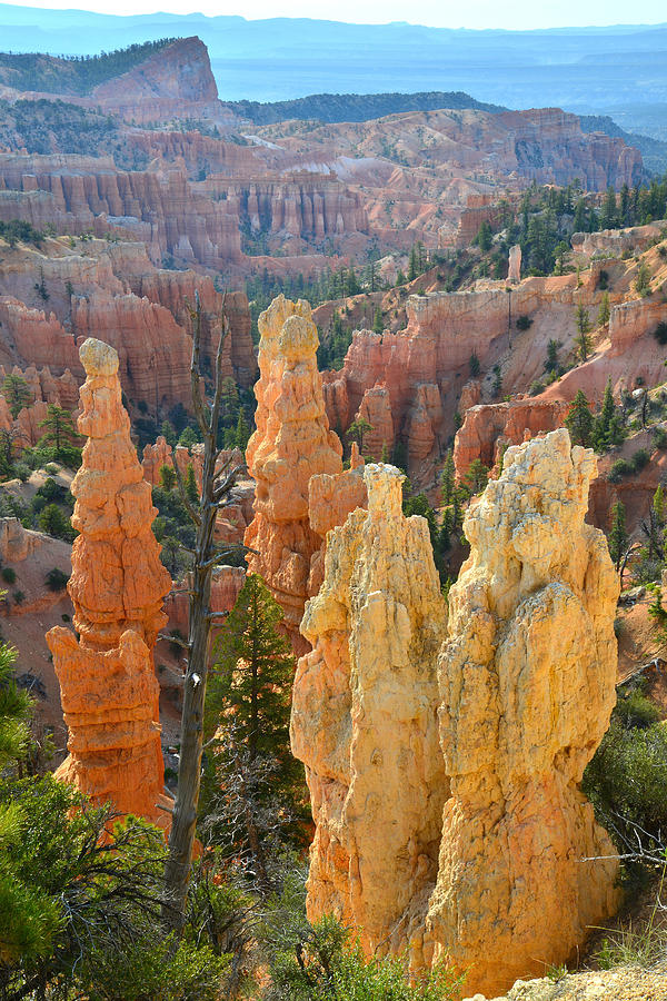 Fairyland Canyon #26 Photograph by Ray Mathis