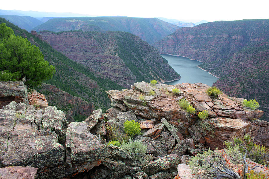 Flaming Gorge National Park #10 Photograph by Ellen Tully