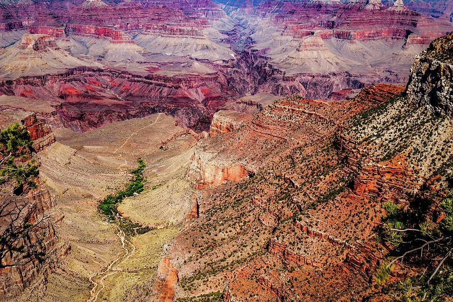 Grand Canyon #10 Photograph by Doug Long