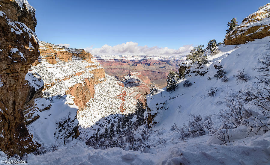 Grand Canyon #10 Photograph by Mike Ronnebeck