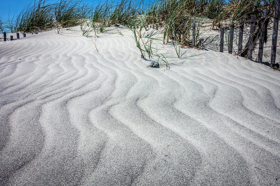 Grassy Windy Sand Dunes On The Beach #10 Photograph by Alex Grichenko