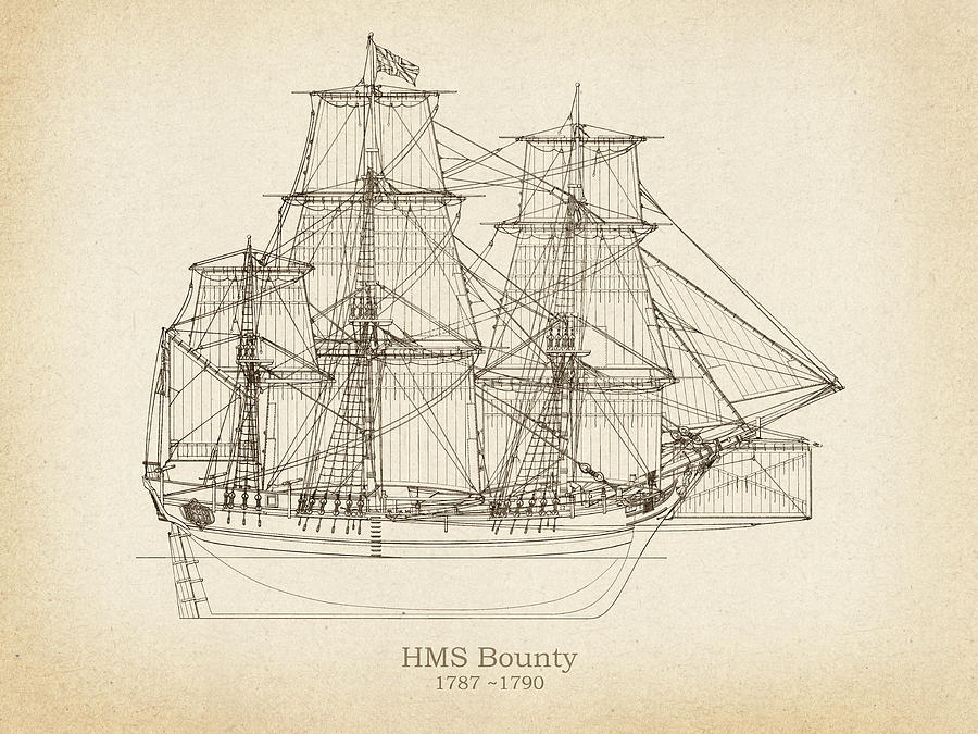 HMS Bounty ship plans Drawing by StockPhotosArt Com - Fine Art America