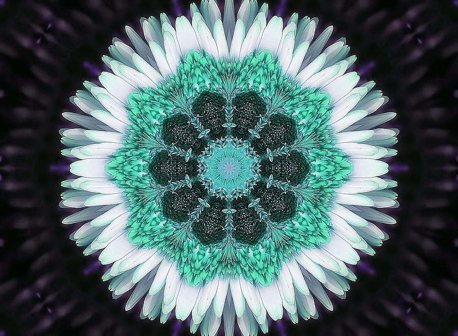 Kaleidoscope Photograph By Joyce Baldassarre Fine Art America 7293