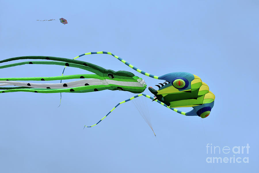 Kites flying during Kite festival #10 Photograph by George Atsametakis