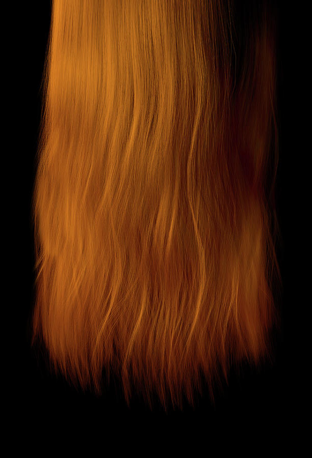 Length Of Hair Digital Art by Allan Swart - Fine Art America