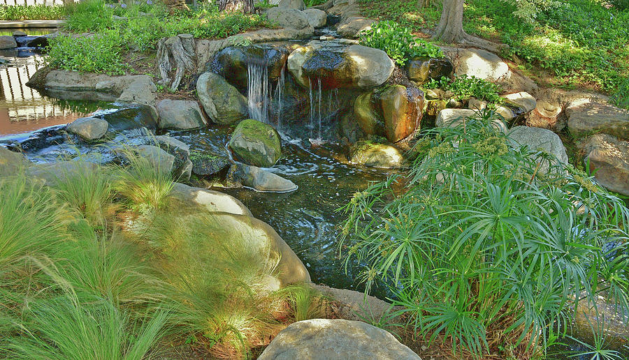 10 Lily Pond Waterfall  Photograph by Linda Brody