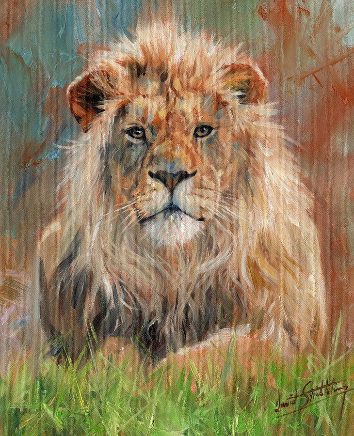 Lion Painting - Lion #10 by David Stribbling