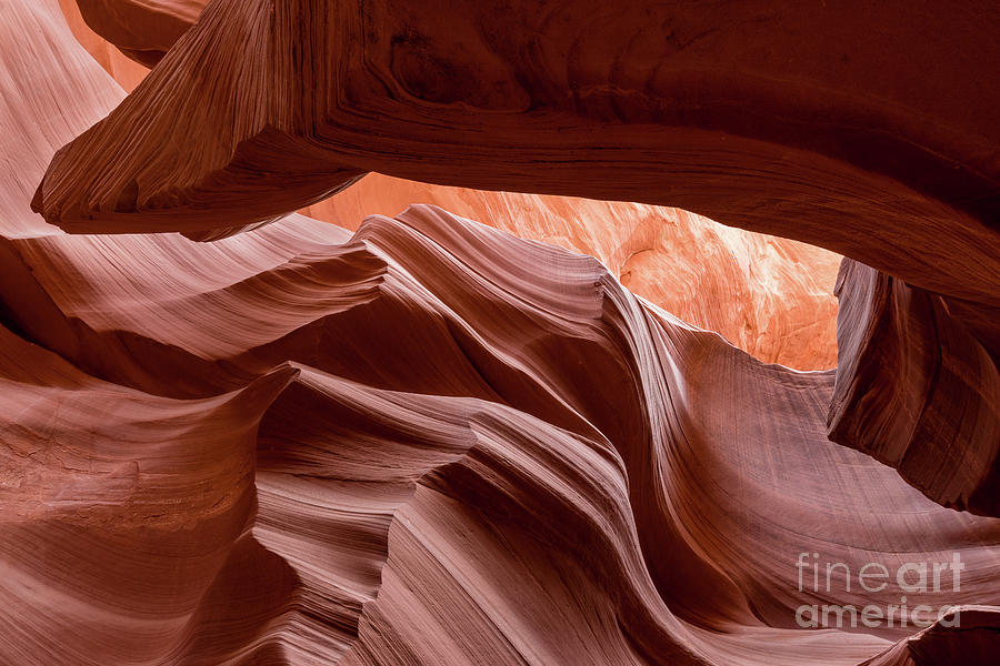 Lower Antelope Canyon #10 Photograph by Craig Shaknis