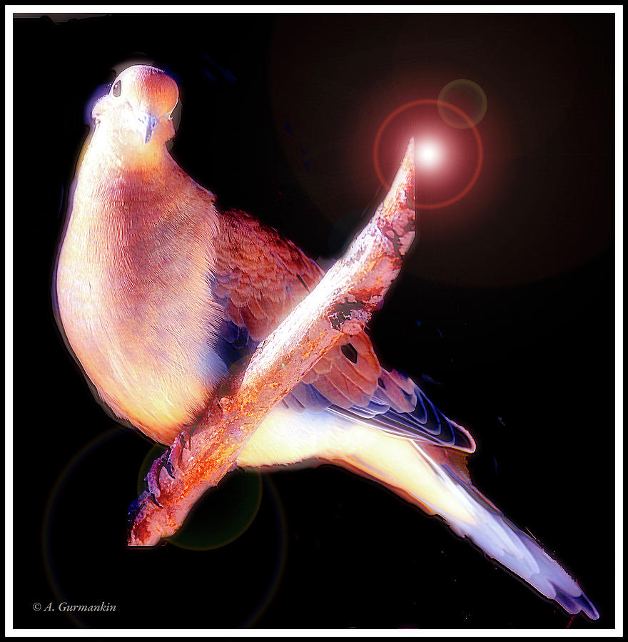 Mourning Dove, Animal Portrait #10 Digital Art by A Macarthur Gurmankin